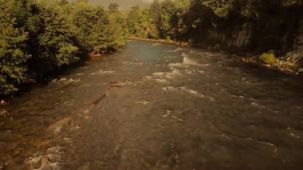 Yeşil ormandaki hızlı nehir akıntısı, üst manzara.. — Stok video