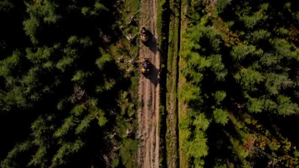 Lidé na čtyřkolkách na lesní cestě, pohled shora. — Stock video