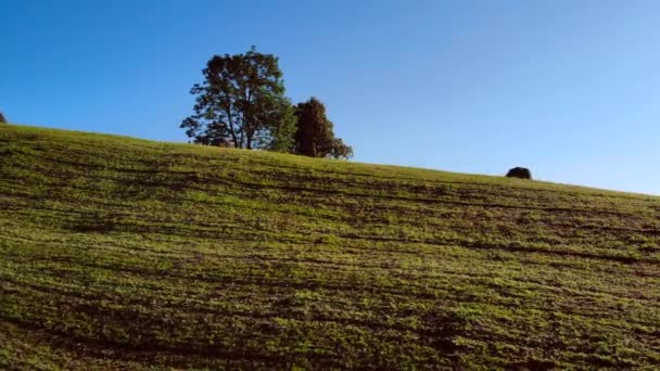 Pessoas se divertindo em uma quadriciclo no campo. — Vídeo de Stock