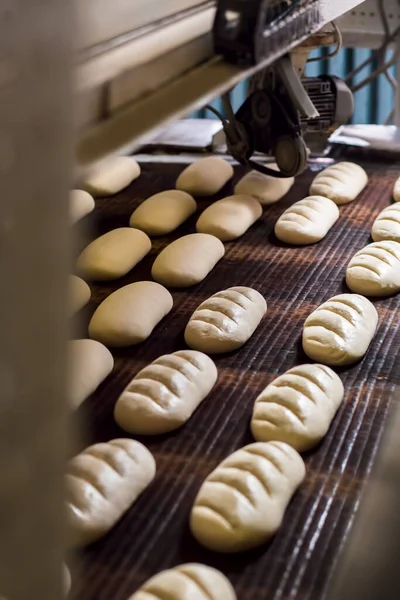 Pane impasto in esecuzione su nastro trasportatore in fabbrica industriale. — Foto Stock