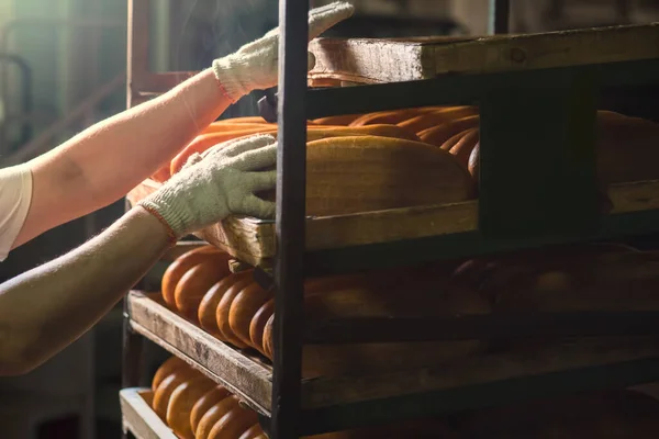 Worker puts fresh bread on rack. Baker working at bakery. —  Fotos de Stock
