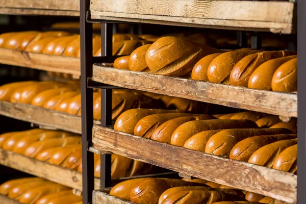 Mensole con pani di pane appena sfornato. — Foto Stock