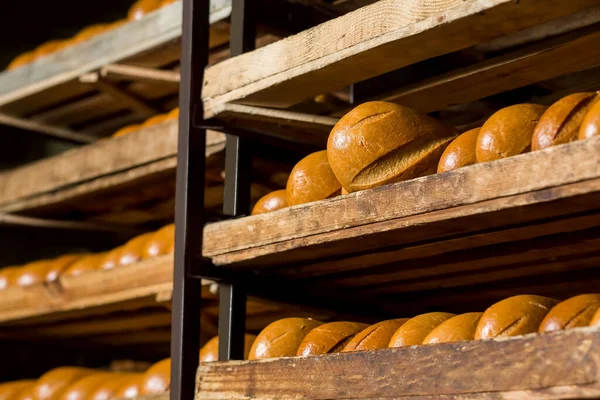 Дерев'яні полиці зі свіжими золотими хлібними хлібами . — стокове фото