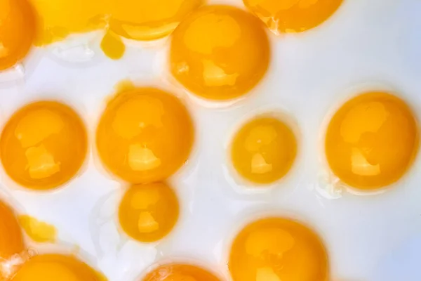 Close-up yellow yolks on white background. ロイヤリティフリーのストック画像