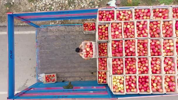 Vista aérea de personas cargando camión con cosecha de frutas. — Vídeo de stock