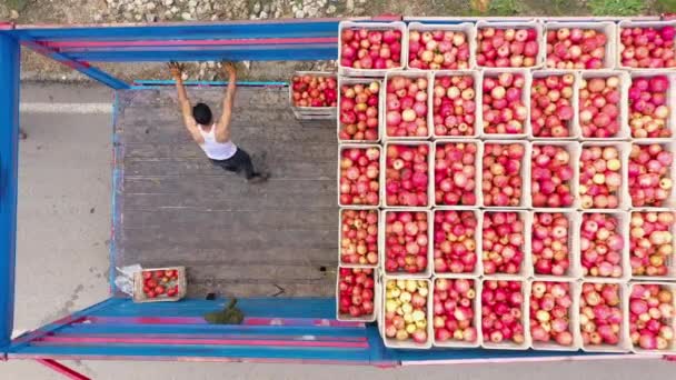 Vue aérienne des personnes chargeant un camion avec récolte de fruits. — Video