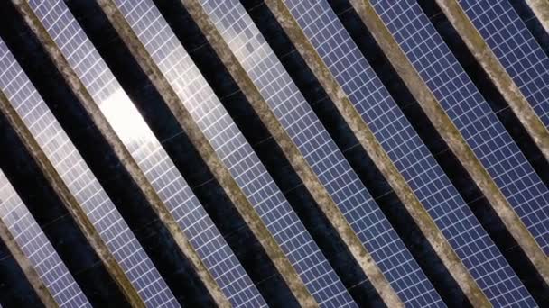 Top view of blue solar panels. — Stock Video