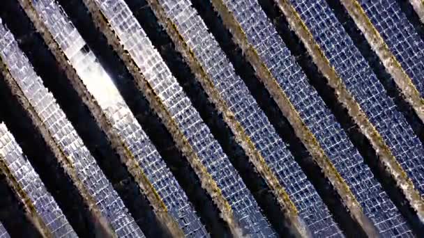 Primer plano de los paneles de energía solar azul en un día soleado. — Vídeos de Stock