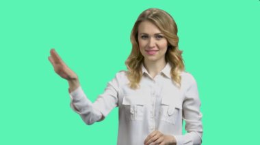 Attractive business woman working with virtual screen.