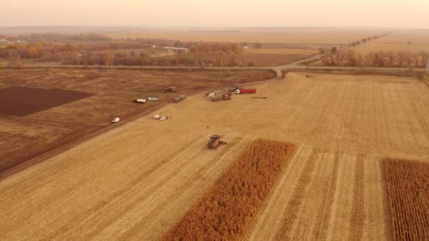 Landtechnik aus der Luft beim Sammeln der Maisernte. — Stockvideo