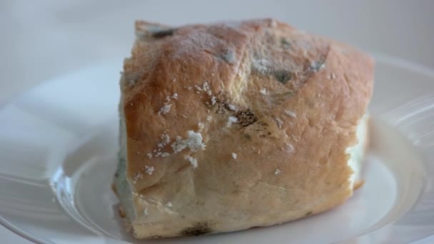 Хлеб, покрытый плесенью. — стоковое видео