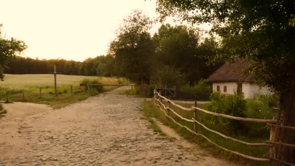 Caminhando ao longo do caminho da aldeia rural. — Vídeo de Stock