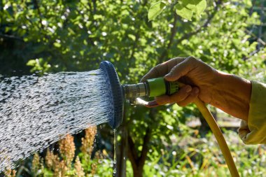 El fıskiyesi kullanarak bahçe bitkilerini yakın plan sulama.