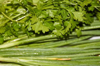 Taze, doğal, ıslak maydanoz yaprakları..