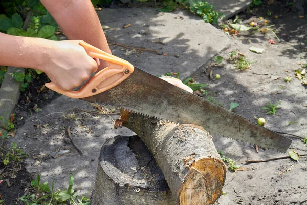 Manos jóvenes cortando troncos usando una vieja sierra de cruz oxidada. — Foto de Stock