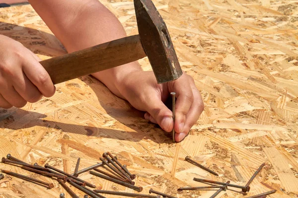 Mans hammering nails into plywood surface close-up.
