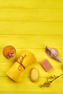 Deniz kabuğu ve sabunla üst manzara havlusu..