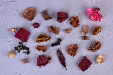 Düz beyaz arka planda çeşitli kuru çiçek yaprakları yatıyordu.