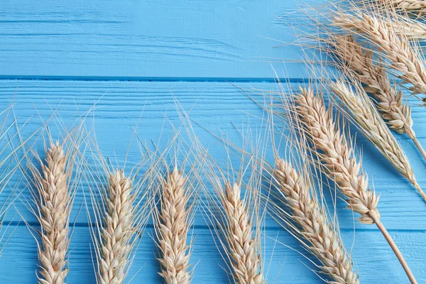 Set droge spikelet op blauw houten bureau close-up. — Stockfoto