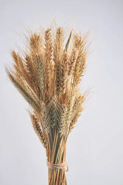 Вертикальный букет спелых колосьев пшеницы. — стоковое фото