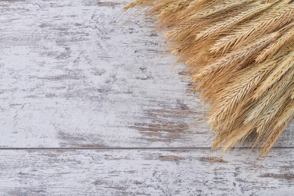 ライ麦と小麦のスパイクとコピースペース. — ストック写真