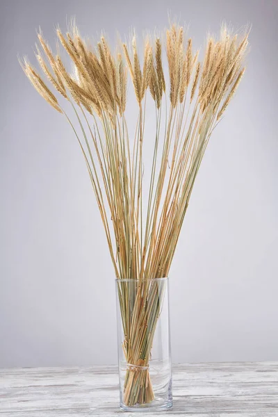 Вертикальная стеклянная ваза из золотых колосьев. — стоковое фото