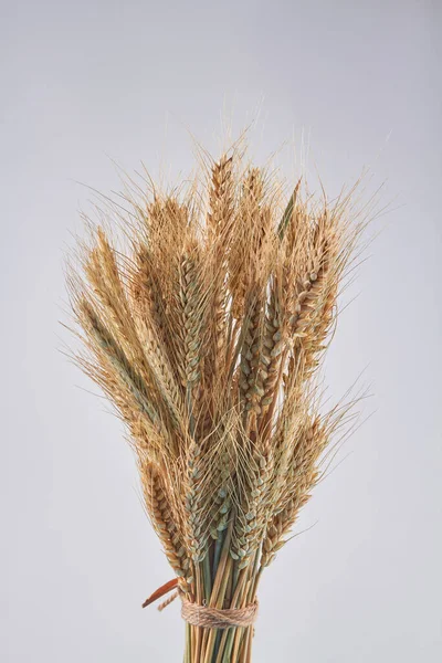 Аромат пшеницы или ржаных зерен на белом фоне. — стоковое фото