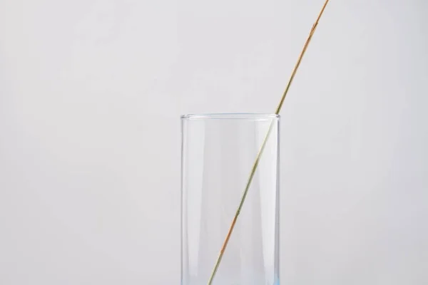 Közelkép egy búza szár az átlátszó üveg vázában. — Stock Fotó