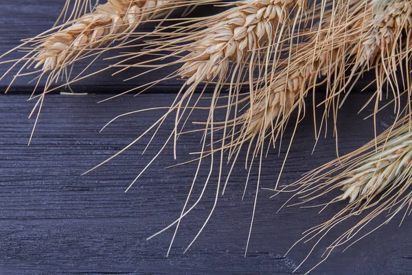 Voorgrond oren tarwe gerst of rogge op zwarte achtergrond. — Stockfoto