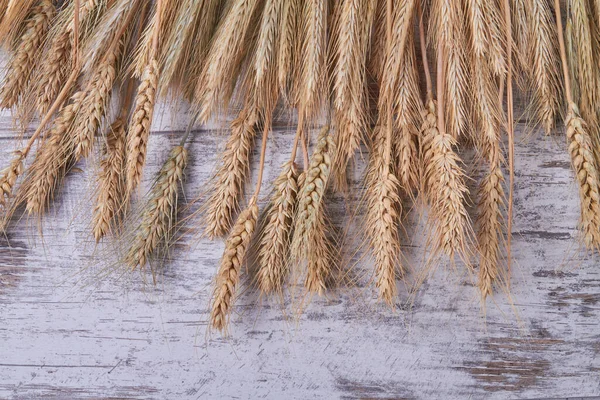 Ovanifrån vete och råg spikelets på vitt trä. — Stockfoto