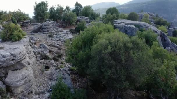 緑の木々の間の灰色の岩の形成。珍しい灰色の石の風景. — ストック動画