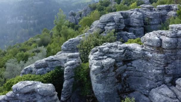 Otroliga grå klippformationer. Natursköna landskap utsikt över klippiga klippor med gröna träd. — Stockvideo