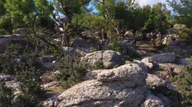 Kayaların arasında büyüyen yemyeşil ağaçlar. Güzel tropikal doğa.