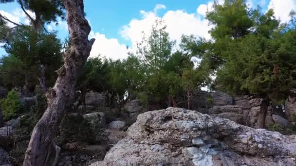 Γκρι βράχοι και κωνοφόρα δέντρα κάτω από μπλε καλοκαιρινό ουρανό. — Αρχείο Βίντεο