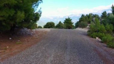 Dağ yolu manzarası bir yaz günü kayalar ve yemyeşil ağaçlarla.