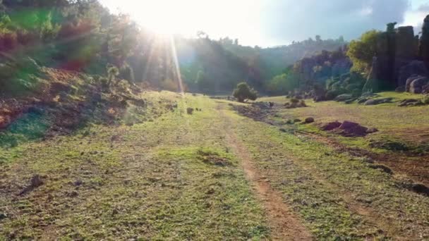 Drone vista do belo nascer do sol da manhã sobre o vale verde da montanha. — Vídeo de Stock