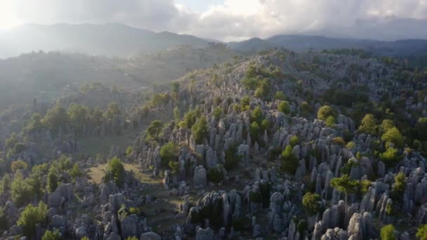 Hermosa vista aérea de formaciones rocosas grises y árboles siempreverdes en las montañas. — Vídeos de Stock