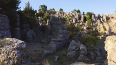 Yeşil kozalaklı ağaçlarla inanılmaz gri kaya oluşumları.