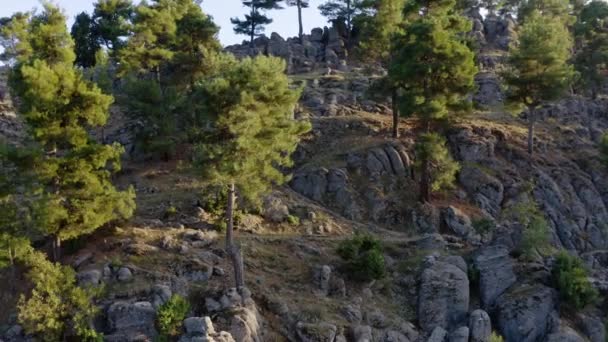 Formaciones rocosas paisaje y bosque mediterráneo siempreverde. Vista desde el dron. — Vídeos de Stock