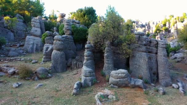 Γεωλογικό τοπίο με όμορφους βραχώδεις σχηματισμούς και αειθαλή δέντρα. — Αρχείο Βίντεο