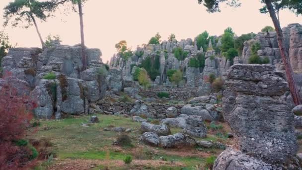 Μαγευτικό τοπίο με εντυπωσιακούς σχηματισμούς γκρίζων βράχων και κωνοφόρα δέντρα. — Αρχείο Βίντεο