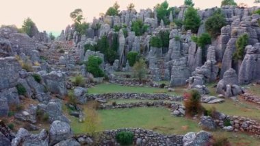 Granit kaya oluşumları ve yeşil kozalaklı ağaçlarla kaplı bir manzara..