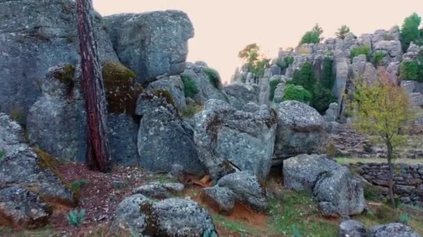 Schilderachtige rotsformaties met weelderige groene pijnbomen in het bergdal. — Stockvideo