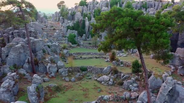 Landscape scenery with gray rock formations and evergreen trees. — Stock Video