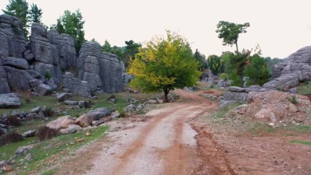 Gray rock formations and coniferous trees along countryside mountain road. — Stock Video