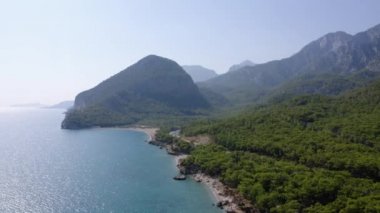 Tropikal ormanlarla kaplı deniz ve kıyı şeridi manzarası.