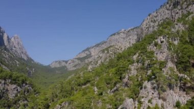 Kayalık dağlarda yetişen yeşil kozalaklı ağaçlar. İHA 'dan hava görüntüsü.