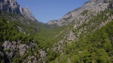 Dağlarda yetişen güzel yeşil çam ağaçlarının hava aracı görüntüsü.