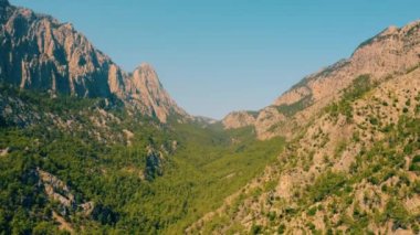 Dağlardaki güzel yeşil ağaçlar. İHA 'dan hava görüntüsü.