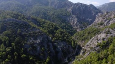 Dağ tepelerinin havadan drone görüntüsü hep yeşil ağaçlarla kaplı..